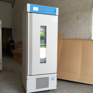 غB(yng)250L