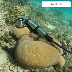Handle  о~G؟ɹxкx