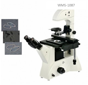 WMS-1087  о͵@΢R
