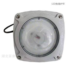   LEDSoFGV6207ƽ_